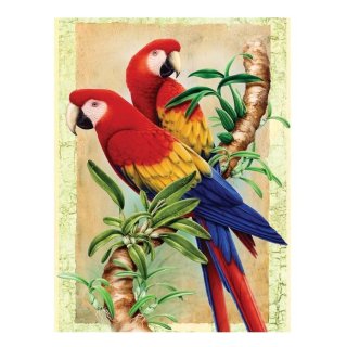 Numerowanka kolorowanka A4 z farbami Papugi na bambusie Royal & Langnickel PJS-38