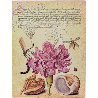 Paperblanks Flexis Notes gładki ultra Pink Carnation
